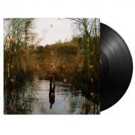 Remy van Kesteren - Leave What You Know - LP