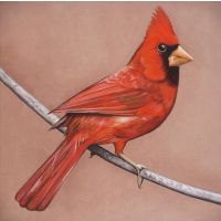 Alexisonfire - Old Crows / Young Cardinals - CD