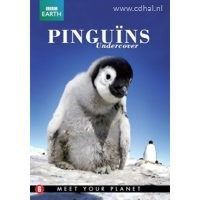Pinguins Undercover - BBC Earth - DVD