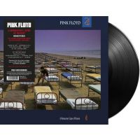Pink Floyd - A Momentary Lapse Of Reason - LP