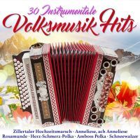 30 Instrumentale Volksmusik Hits - 2CD