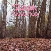 Twink & The Technicolour Dream - Think Pink - CD