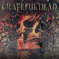 Grateful Dead - Box Of Rain - 10CD