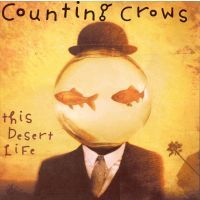 Counting Crows - This Desert Life - CD