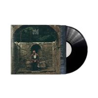 Dermot Kennedy - The Weight of the Woods - LP
