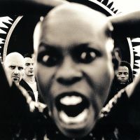 Skunk Anansie - Stoosh - CD