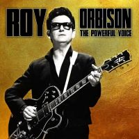 Roy Orbison - The Powerfull Voice - CD