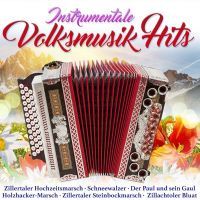 Instrumentale Volksmusik Hits - CD