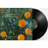 Lana Del Rey - Violet Bent Backwards Over The Grass - LP