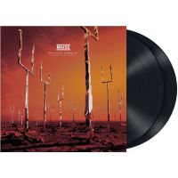 Muse - Origin Of Symmetry - XX Anniversary RemiXX - 2LP