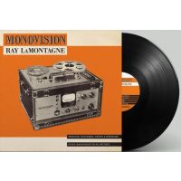 Ray LaMontagne - Monovision - LP