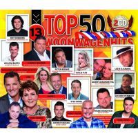 Woonwagenhits Top 50 - Deel 13 - 2CD