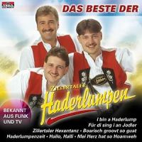 Zillertaler Haderlumpen - Das beste der - CD